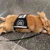 emotional support bunny