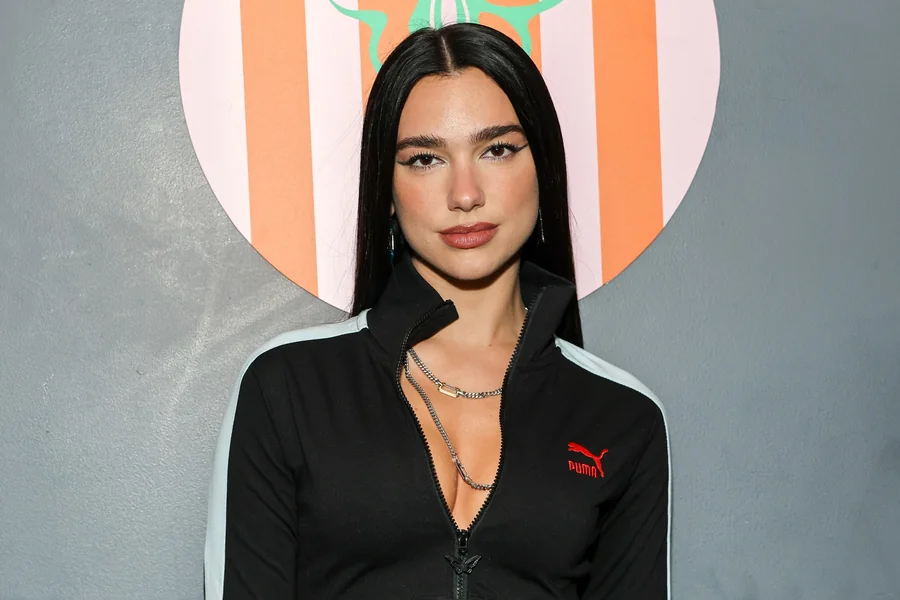 Dua Lipa Net Worth