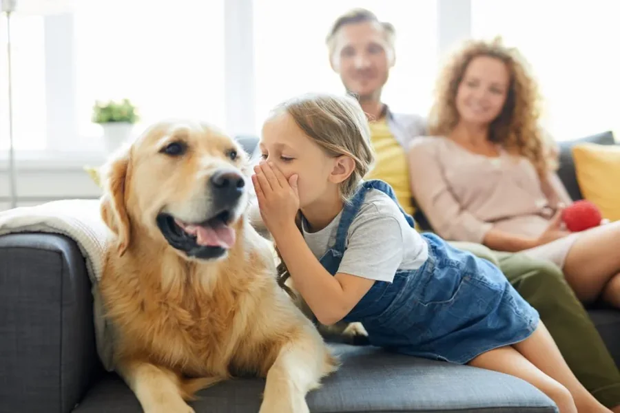 Hemp for Pets
