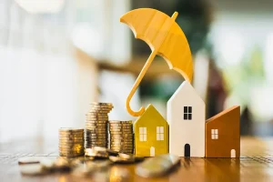 Key Features of Domestic Asset Protection Trusts