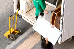 Moving in King County with Pets – Safety Checklist