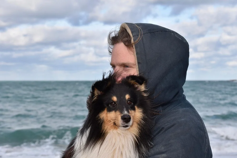 How to Create a Happy Home for You and Your New Puppy